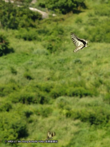 110807_ntm_02.jpg