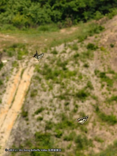 110807_ntm_05.jpg