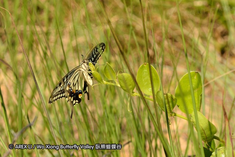 110807_ntm_07.jpg