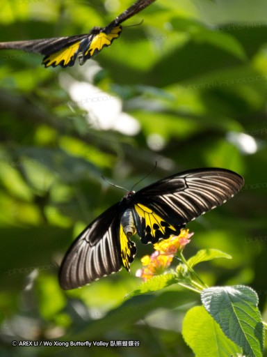 111015_fy_10.jpg