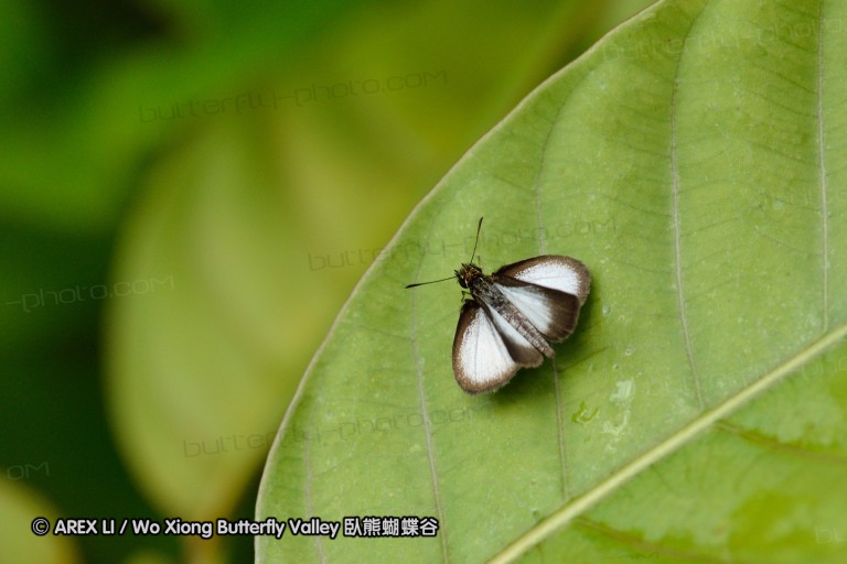 120127_bislig_29~0.jpg