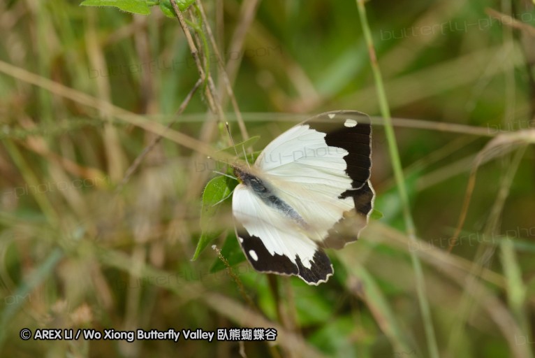 140423_manguzi_006.jpg