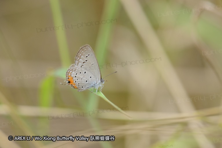 140423_manguzi_023.jpg