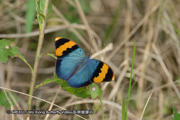 140423_manguzi_045.jpg
