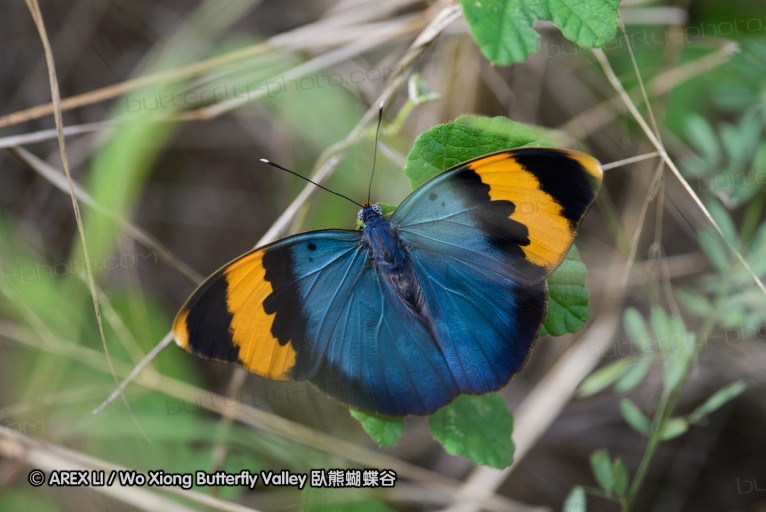 140423_manguzi_046.jpg
