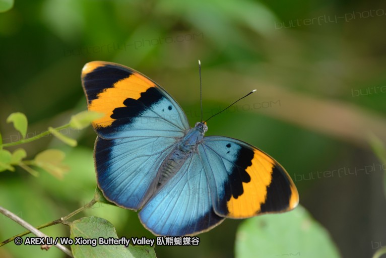 140423_manguzi_048.jpg