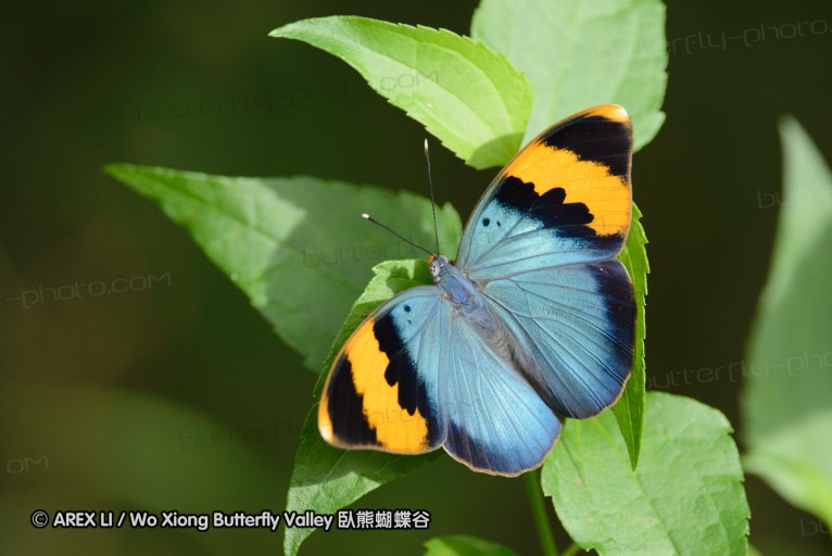140423_manguzi_049.jpg