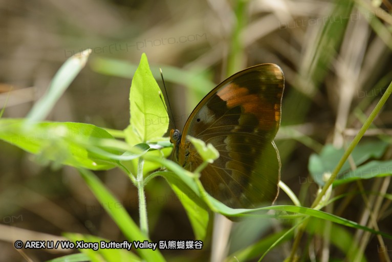 140423_manguzi_050.jpg