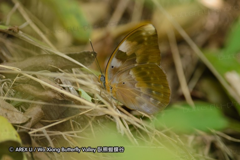 140423_manguzi_052.jpg