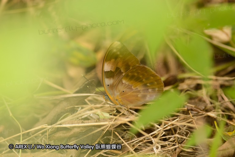 140423_manguzi_053.jpg