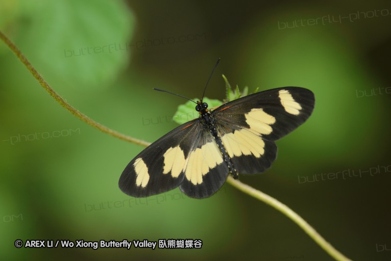 140423_manguzi_059.jpg