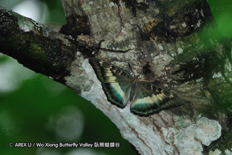 tw_lls_090627_07.jpg