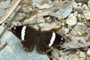 Filename=070310_fy_01.jpg
Filesize=577KiB
Dimensions=1920x1280
Date added=Jan 07, 2012 070310_fy_01.jpg