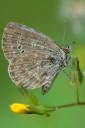Filename=070310_fy_10.jpg
Filesize=507KiB
Dimensions=1280x1919
Date added=Oct 30, 2011 070310_fy_10.jpg