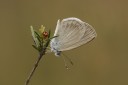 Filename=070322_yl_09.jpg
Filesize=493KiB
Dimensions=1920x1279
Date added=Oct 29, 2011 070322_yl_09.jpg