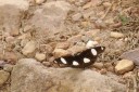 Filename=070322_yl_14.jpg
Filesize=682KiB
Dimensions=1920x1280
Date added=Jan 10, 2012 070322_yl_14.jpg
