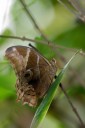 Filename=070428_wkt_36.jpg
Filesize=390KiB
Dimensions=1280x1920
Date added=Jan 08, 2012 070428_wkt_36.jpg