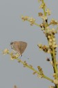 Filename=070429_wkt_14.jpg
Filesize=322KiB
Dimensions=1280x1920
Date added=Oct 29, 2011 070429_wkt_14.jpg