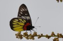 Filename=070429_wkt_18.jpg
Filesize=356KiB
Dimensions=1780x1187
Date added=Oct 26, 2011 070429_wkt_18.jpg