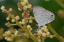Filename=070429_wkt_21.jpg
Filesize=494KiB
Dimensions=1920x1279
Date added=Dec 31, 2011 070429_wkt_21.jpg