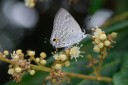 Filename=070429_wkt_33.jpg
Filesize=428KiB
Dimensions=1920x1280
Date added=Dec 31, 2011 070429_wkt_33.jpg