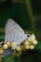 Filename=070429_wkt_34.jpg
Filesize=471KiB
Dimensions=1279x1920
Date added=Dec 31, 2011 070429_wkt_34.jpg