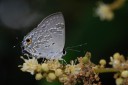 Filename=070429_wkt_36.jpg
Filesize=413KiB
Dimensions=1920x1285
Date added=Dec 31, 2011 070429_wkt_36.jpg