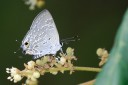 Filename=070429_wkt_37.jpg
Filesize=386KiB
Dimensions=1919x1279
Date added=Dec 31, 2011 070429_wkt_37.jpg