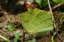 Filename=070501_fy_25.jpg
Filesize=637KiB
Dimensions=1920x1279
Date added=Oct 26, 2011 070501_fy_25.jpg