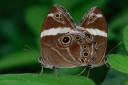 Filename=070512_fy_24.jpg
Filesize=590KiB
Dimensions=1920x1280
Date added=Jan 07, 2012 070512_fy_24.jpg