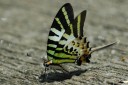 Filename=070715_lkt_27.jpg
Filesize=430KiB
Dimensions=1920x1280
Date added=Aug 05, 2011 070715_lkt_27.jpg