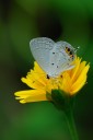Filename=070722_sk_02.jpg
Filesize=396KiB
Dimensions=1280x1920
Date added=Dec 31, 2011 070722_sk_02.jpg
