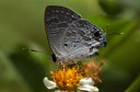 Filename=070729_lkt_08.jpg
Filesize=403KiB
Dimensions=1919x1271
Date added=Dec 31, 2011 070729_lkt_08.jpg