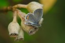 Filename=070826_wkt_01.jpg
Filesize=415KiB
Dimensions=1920x1280
Date added=Dec 31, 2011 070826_wkt_01.jpg