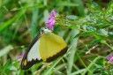 071020_hainan_65.jpg