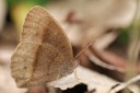 Filename=080216_fy_02.jpg
Filesize=363KiB
Dimensions=1920x1275
Date added=Jan 07, 2012 080216_fy_02.jpg
