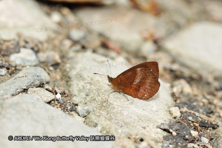 091025_sisidro_42.jpg