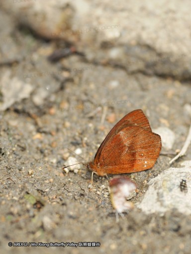 091025_sisidro_47.jpg