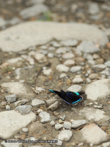 091025_sisidro_57~0.jpg