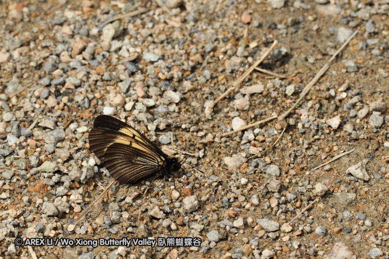 091025_sisidro_71.jpg
