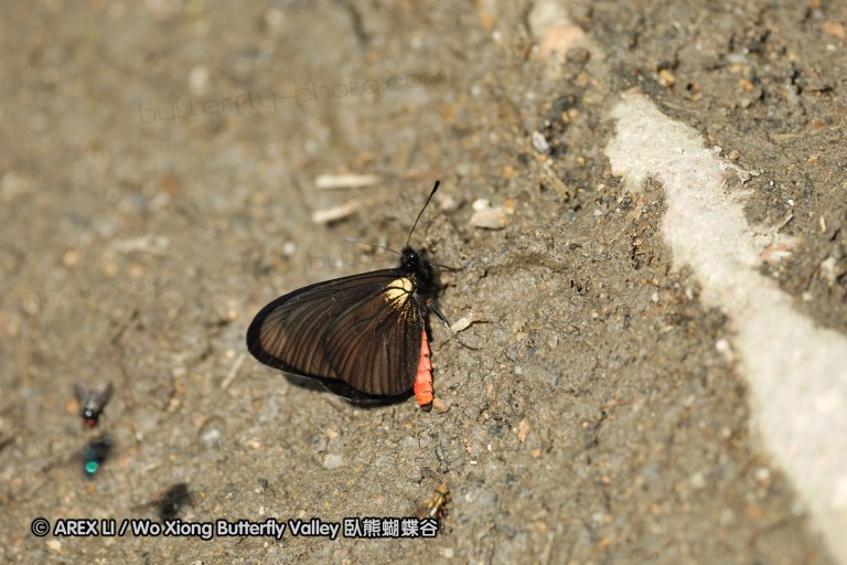 091025_sisidro_86.jpg