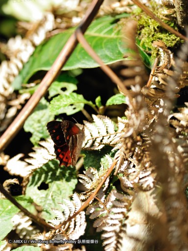 091025_sisidro_89.jpg