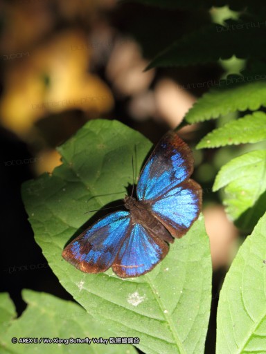 091028_costazaul_031.jpg
