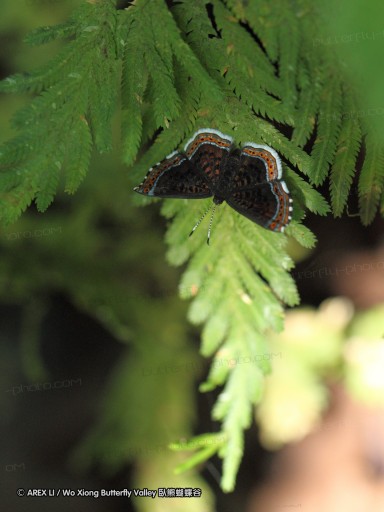 091029_alinahui_090.jpg