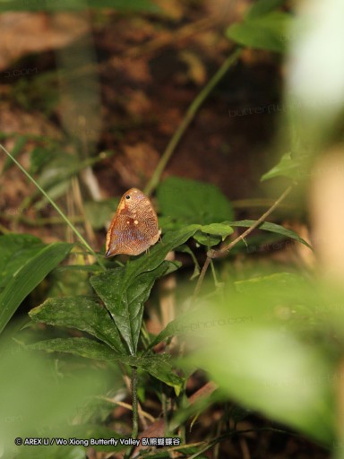 091029_alinahui_169.jpg