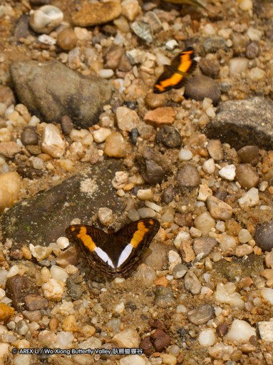 091102_alinahui_107.jpg