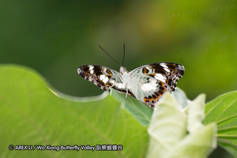 111004_subic_47.jpg