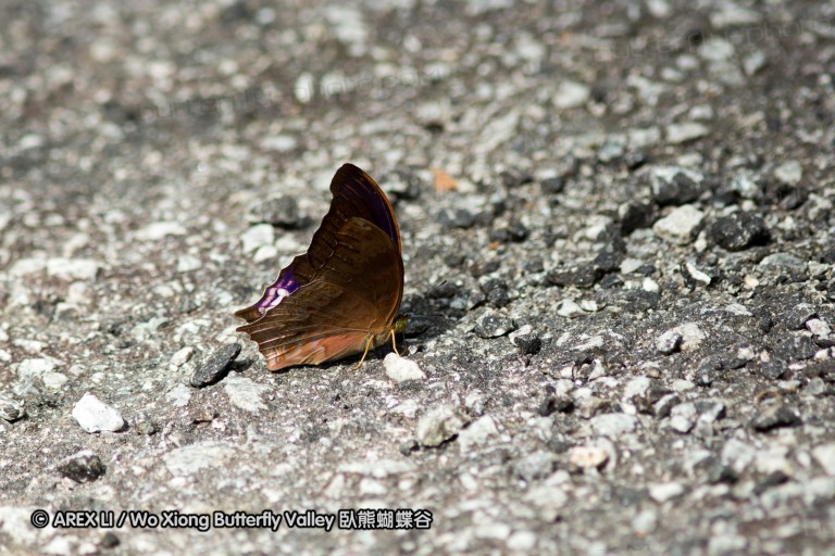120406_fraser_115.jpg