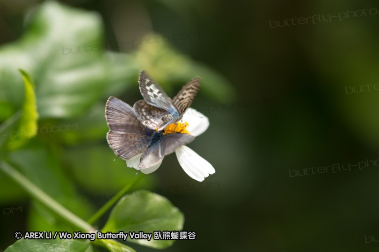120422_to_13.jpg