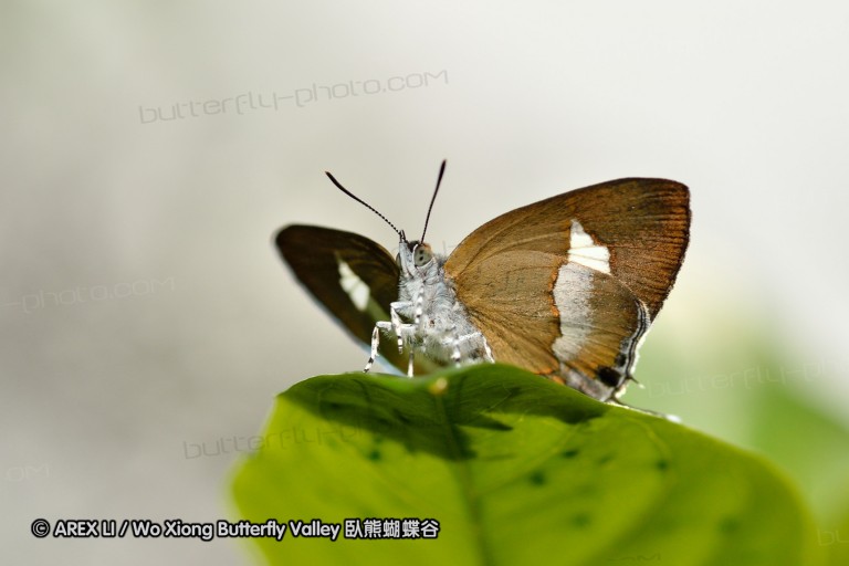 120430_mos_38.jpg